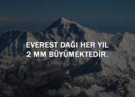 ilginç bilgiler ile ilgili görsel sonucu