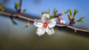 News source: La Provence