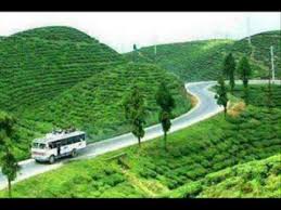 Image result for ilam