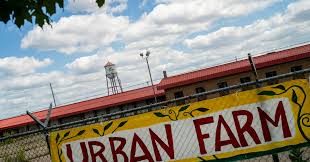 Minneapolis Mayor Frey Faces Protest Over Roof Depot Controversy