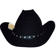 Image result for cowboy hats