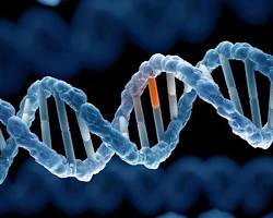 Hình ảnh về Di truyền