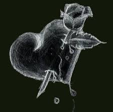 kalpresimleri
