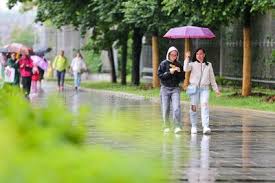 Агентство городских новостей - News update
