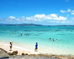 沖縄 夏の画像