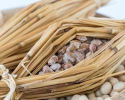 納豆菌野菜の画像