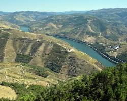 Imagem de São Leonardo de Galafura viewpoint, Douro Valley