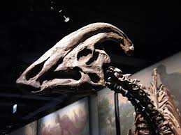 Resultado de imagem para parasaurolophus