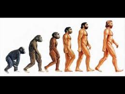 Resultado de imagen de evolucion del hombre