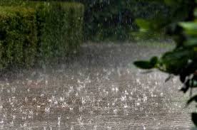 Bildresultat för regn