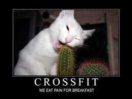 Image result for crossfit funny sayings