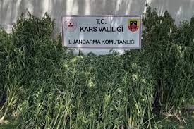 Şanlıurfa Haberleri - News update