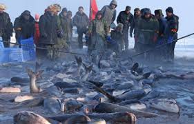 Resultado de imagen de Kings Day colombia