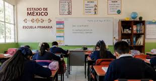 Said 2026 Resultados