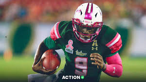 Rice vs USF Prediction, Odds, Picks, Time, College Football Week 14 Betting Preview