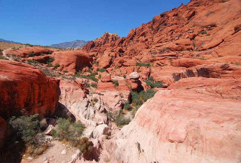 Red Rock Canyon National Conservation Area