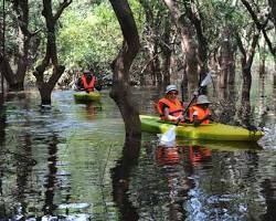 Image of Kayaking in Cambodia