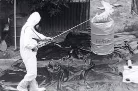 Resgate da história