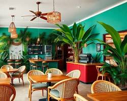 vibrant tropicalthemed cafe interiorの画像