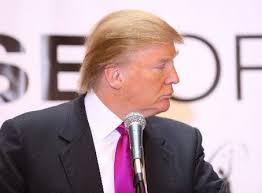 Résultat de recherche d'images pour "trump wind"