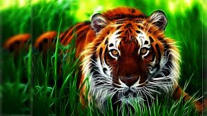 Image result for 3d hd wallpapers
