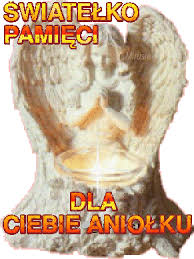 Znalezione obrazy dla zapytania obrazy znicz