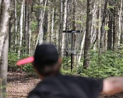 Image of 18Hole Disc Golf Course at Treeosix Adventure Parks