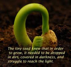 Image result for the beginning