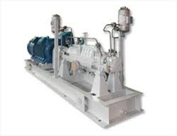 Marelli Pumps - Delta Process Equipment