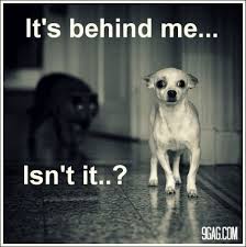 Black Cat Quotes on Pinterest | Men And Dogs, Quotes About Cats ... via Relatably.com