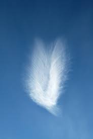 Image result for spirit angels