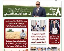 صورة موقع شركة الريف المصري الجديد على الويب