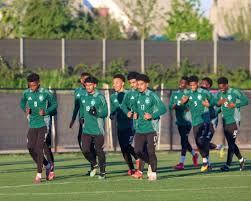 صحيفة عكاظ - News update