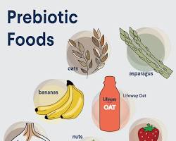 Prebiotics