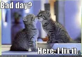 having a bad day quotes cheer up quotes | ... is having a bad day ... via Relatably.com