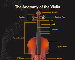 Image of basic violin outline with centerline, body shape, neck, and scroll indication