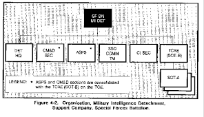 Image result for Millitary Intelligence Org