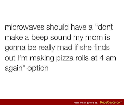 Rude Quotes » microwaves should have a “don&#39;t make a beep sound…” via Relatably.com