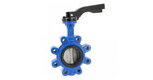 Cast Iron Butterfly Valve 1133 Lug CF8M Disc/EPDM Seat | GTEEK