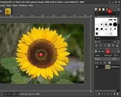 صورة GIMP interface