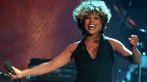Estatua de Tina Turner en Brownsville: ¿Homenaje o Desatino Artístico?
