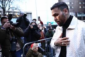 Jury Says Chris Brown Owes Housekeeper $13 Million for Disfigurement in Dog Mauling Attack