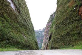 Serra do Corvo Branco, Urubici, Suzani Rovaris (6)