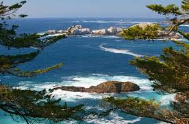 images?q=tbn:ANd9GcQtPQYW2C85tSUpcWLSm0WLUtmDSxk-4BTRblVjMXCsN9ADA_vL