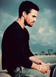 Image result for Stephen Amell