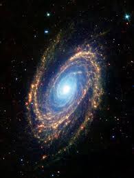 Image result for galaxy m81