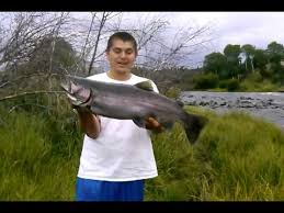 Image result for williamson river