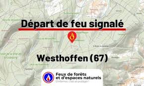Feux de forêt - News update