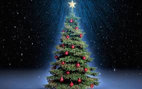Image result for christmas tree