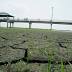 South Florida's drought deepens |MiamiHeraldMiamiHerald
